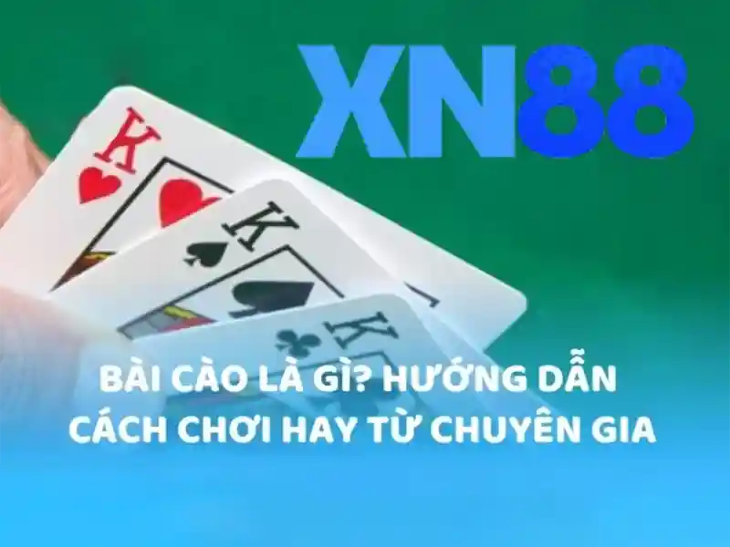 https://xn88.mex.com/images/text/xn88/xn88-text1044.webp