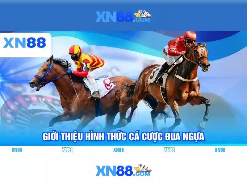 https://xn88.mex.com/images/text/xn88/xn88-text2603121199.webp