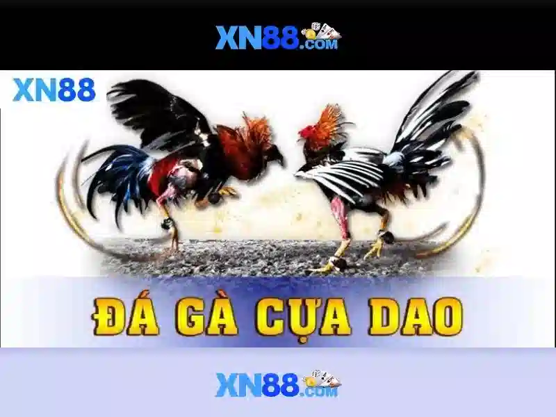 Khám phá xn88: Nền tảng giải trí và cá cược trực tuyến