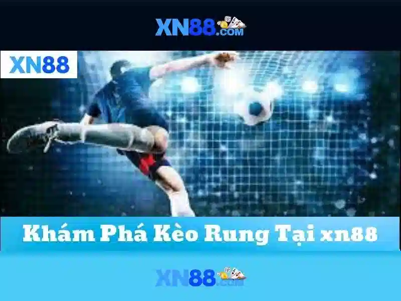 https://xn88.mex.com/images/text/xn88/xn88-text260312135.webp