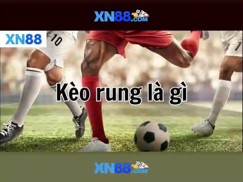https://xn88.mex.com/images/text/xn88/xn88-text260312136.webp