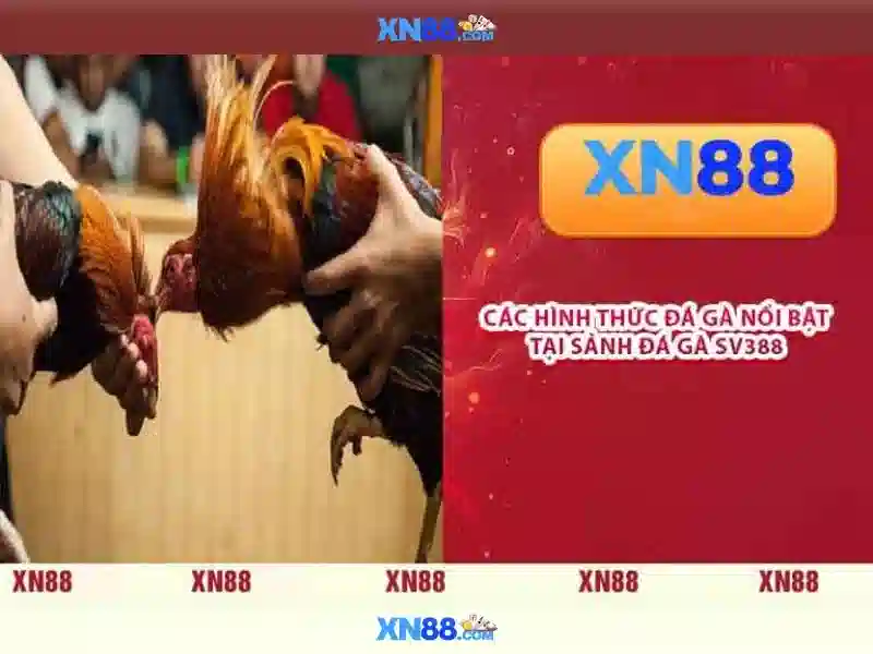 https://xn88.mex.com/images/text/xn88/xn88-text260312170.webp