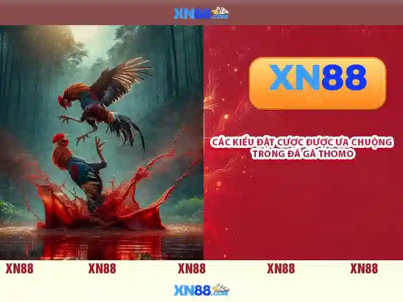https://xn88.mex.com/images/text/xn88/xn88-text260312173.webp