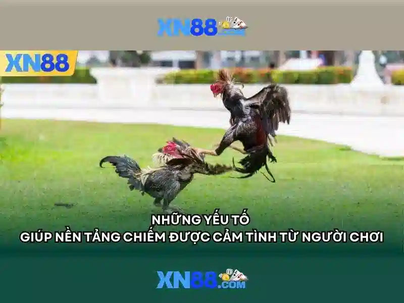 https://xn88.mex.com/images/text/xn88/xn88-text2603121861.webp