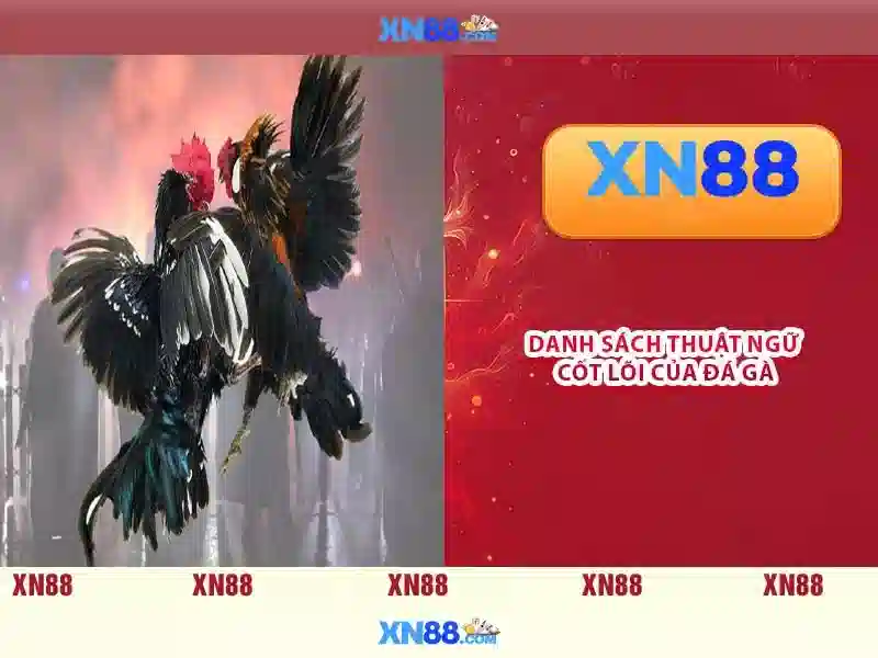https://xn88.mex.com/images/text/xn88/xn88-text260312213.webp