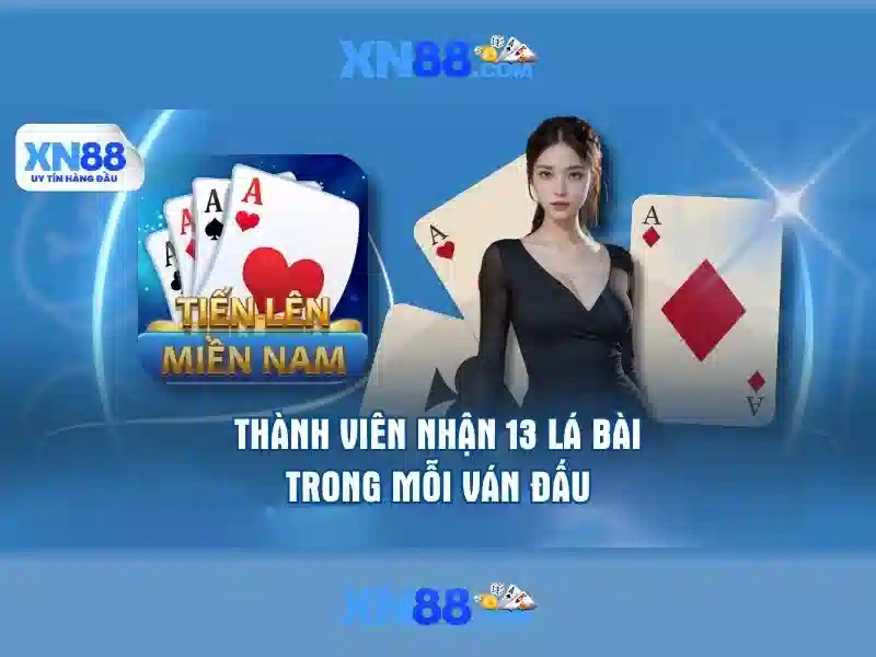 https://xn88.mex.com/images/text/xn88/xn88-text2603122158.webp