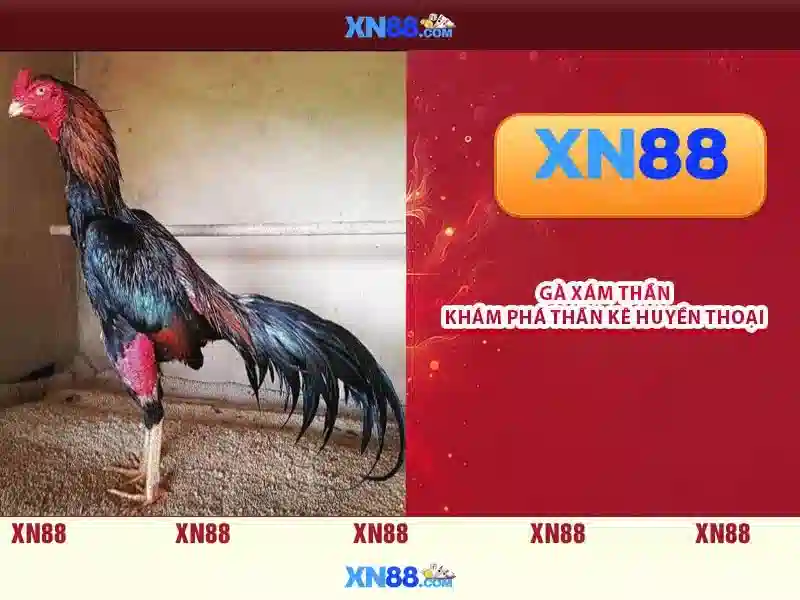 xn88: Nền tảng chơi game trực tuyến đáng tin cậy
