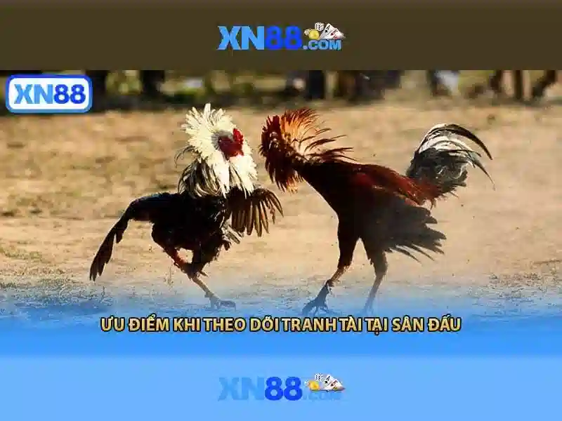https://xn88.mex.com/images/text/xn88/xn88-text2603122431.webp