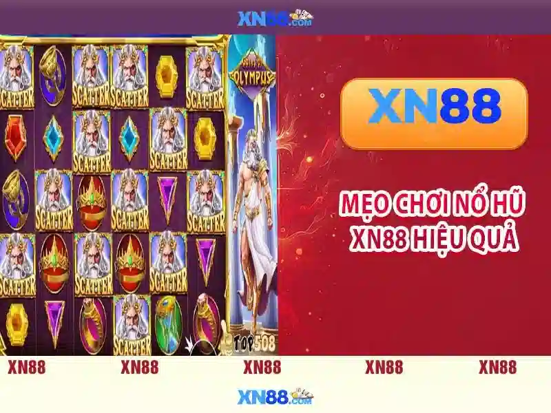 https://xn88.mex.com/images/text/xn88/xn88-text260312284.webp