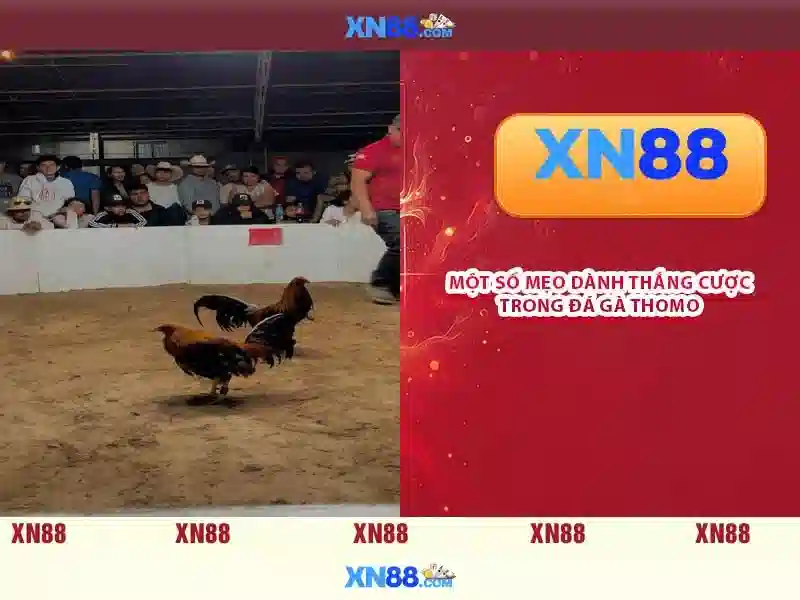 https://xn88.mex.com/images/text/xn88/xn88-text260312302.webp