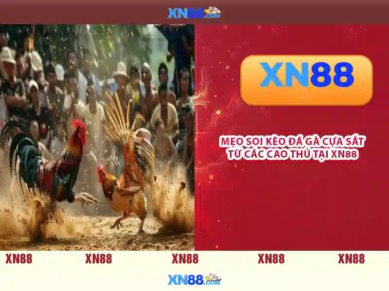 xn88..com – Trải nghiệm và đánh giá nổi bật