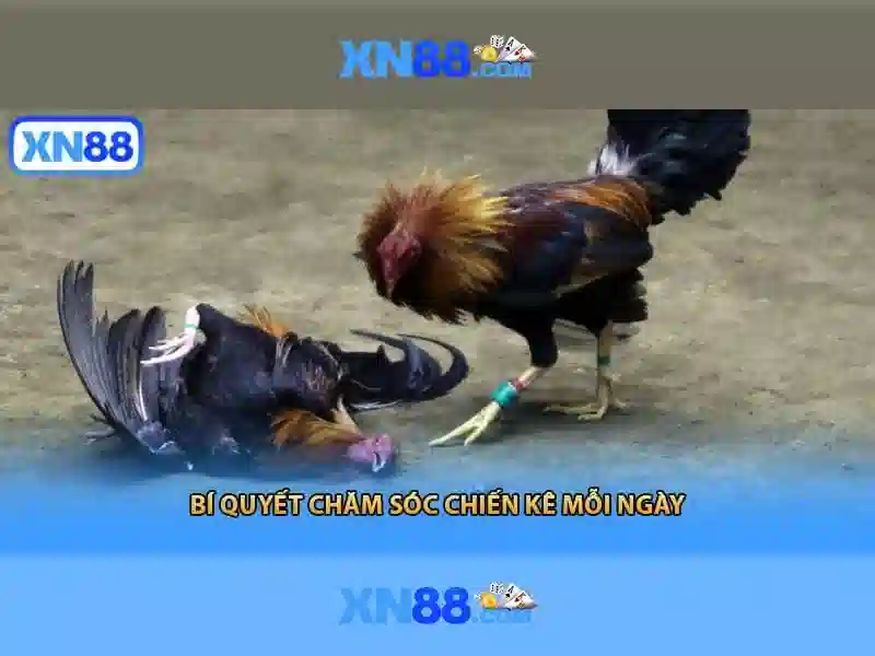 https://xn88.mex.com/images/text/xn88/xn88-text260312501.webp