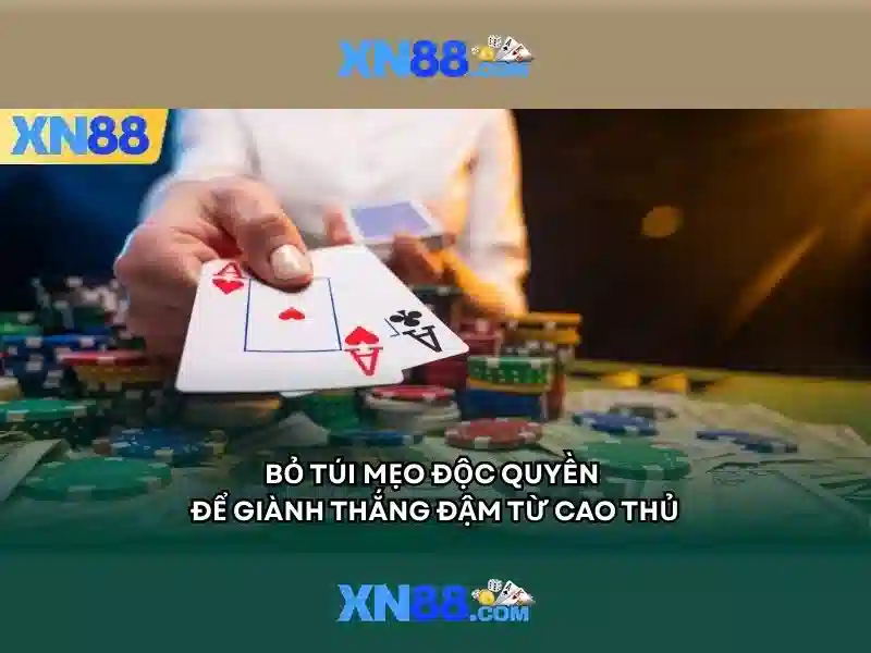https://xn88.mex.com/images/text/xn88/xn88-text260312525.webp