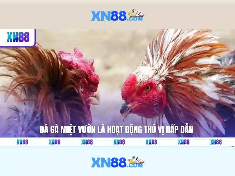 https://xn88.mex.com/images/text/xn88/xn88-text260312889.webp