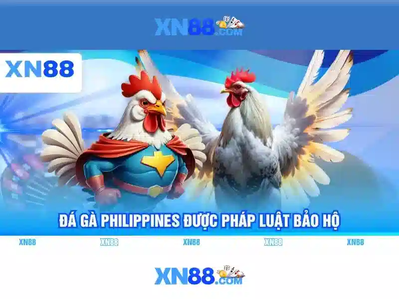 xn88: Khái quát về nền tảng giải trí trực tuyến