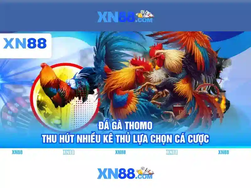 https://xn88.mex.com/images/text/xn88/xn88-text260312901.webp