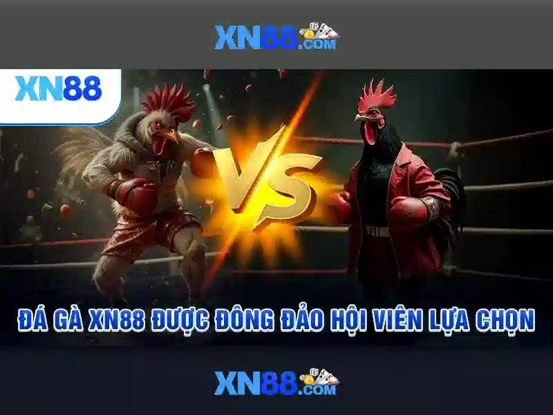 https://xn88.mex.com/images/text/xn88/xn88-text260312919.webp