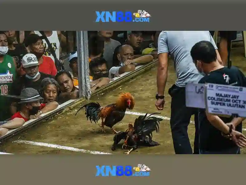 https://xn88.mex.com/images/text/xn88/xn88-text2603301055.webp