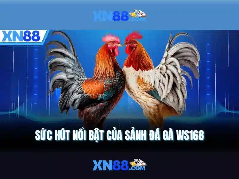 xn88: Gioi thieu ve mot nen giai tri truc tuyen