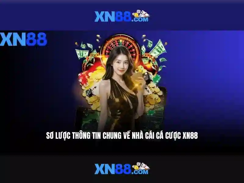 https://xn88.mex.com/images/text/xn88/xn88-text2603302339.webp