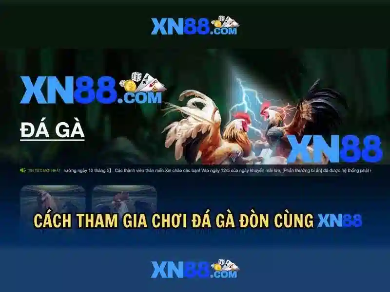 https://xn88.mex.com/images/text/xn88/xn88-text260330524.webp