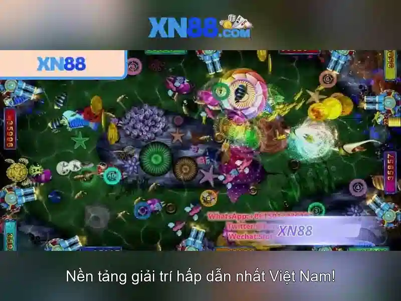 https://xn88.mex.com/images/text/xn88/xn88-text2603311427.webp