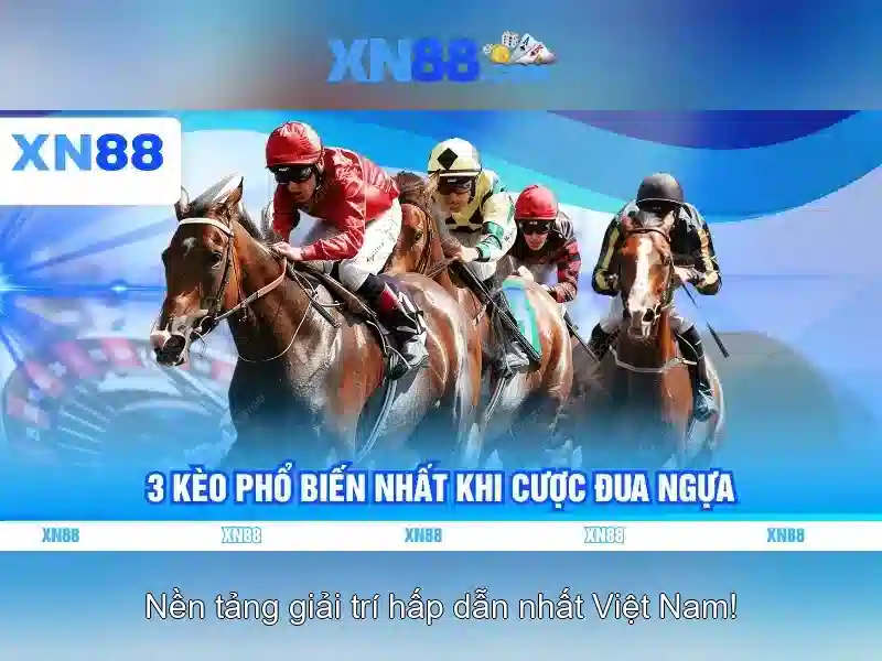 xn88: Nền tảng đa trải nghiệm cho cộng đồng trực tuyến