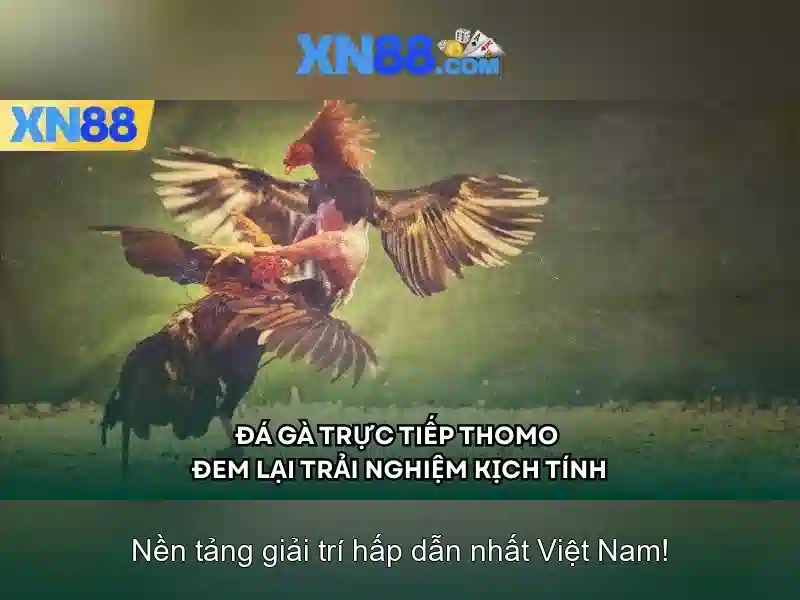https://xn88.mex.com/images/text/xn88/xn88-text2603311556.webp