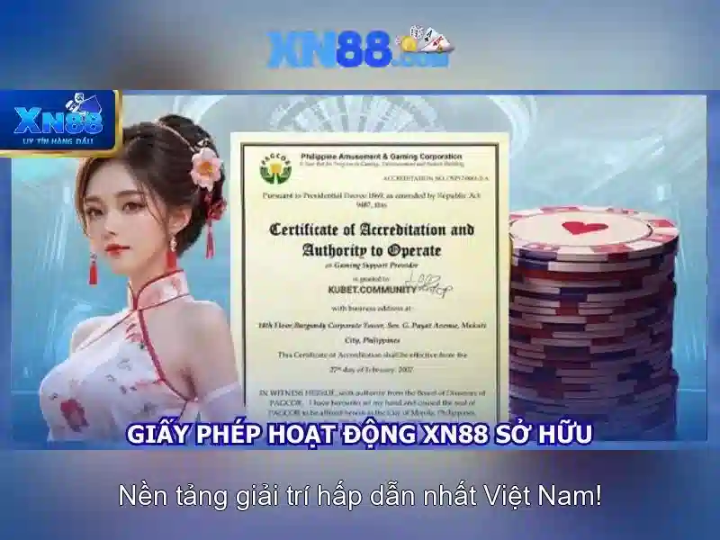 https://xn88.mex.com/images/text/xn88/xn88-text2603311717.webp