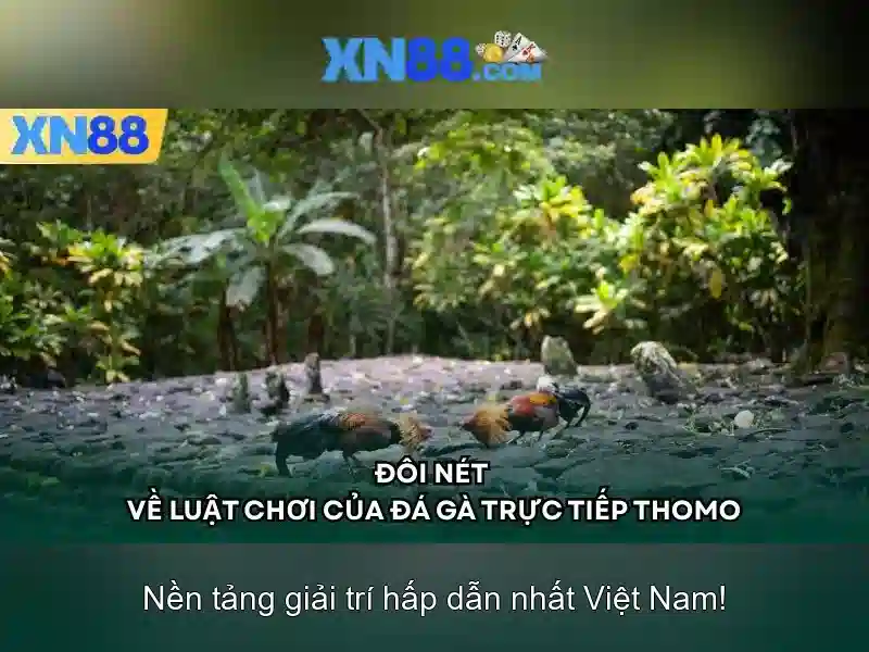 https://xn88.mex.com/images/text/xn88/xn88-text2603311856.webp