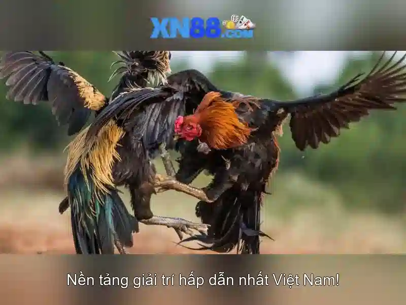 https://xn88.mex.com/images/text/xn88/xn88-text2603312238.webp