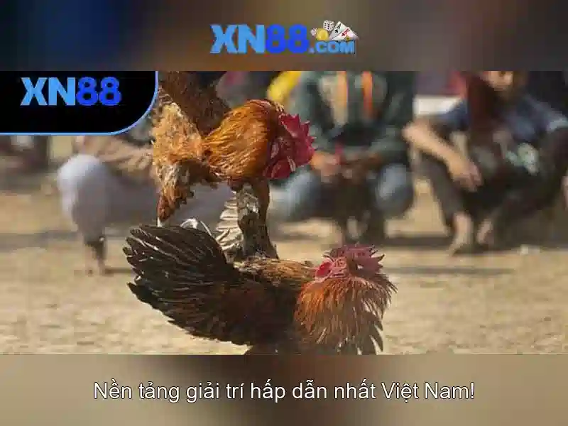 https://xn88.mex.com/images/text/xn88/xn88-text2603312425.webp