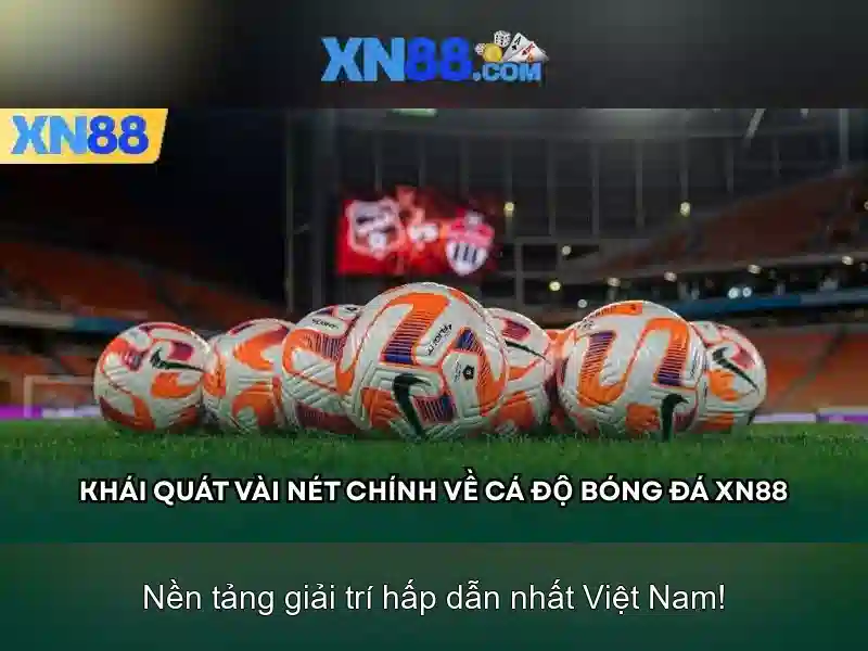 https://xn88.mex.com/images/text/xn88/xn88-text2603312594.webp