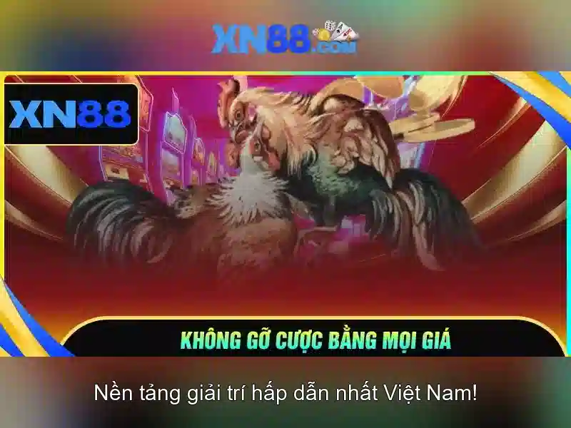 https://xn88.mex.com/images/text/xn88/xn88-text2603312678.webp