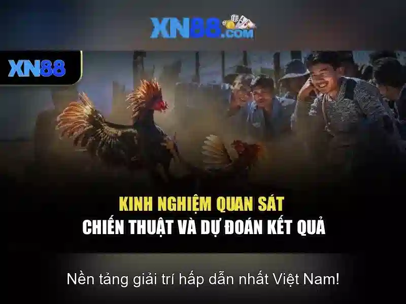 https://xn88.mex.com/images/text/xn88/xn88-text2603312766.webp