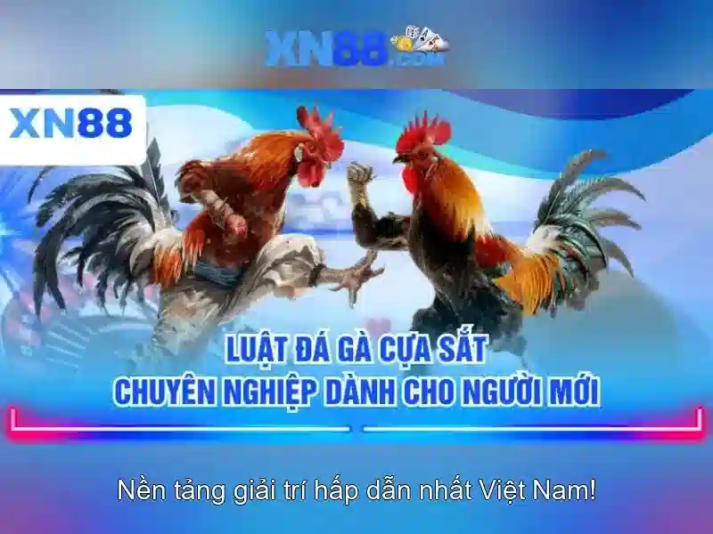 https://xn88.mex.com/images/text/xn88/xn88-text2603312908.webp