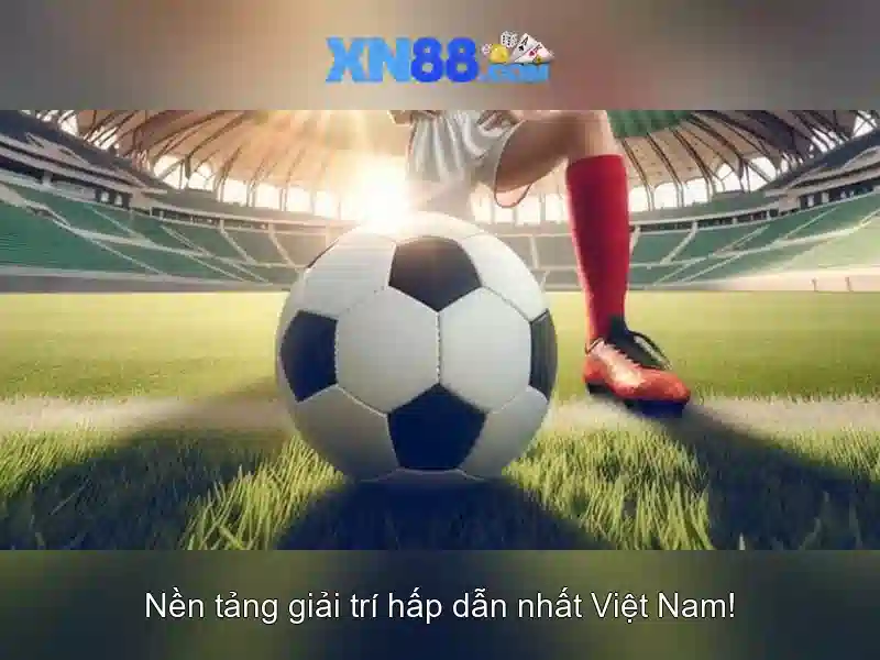 https://xn88.mex.com/images/text/xn88/xn88-text2603313133.webp