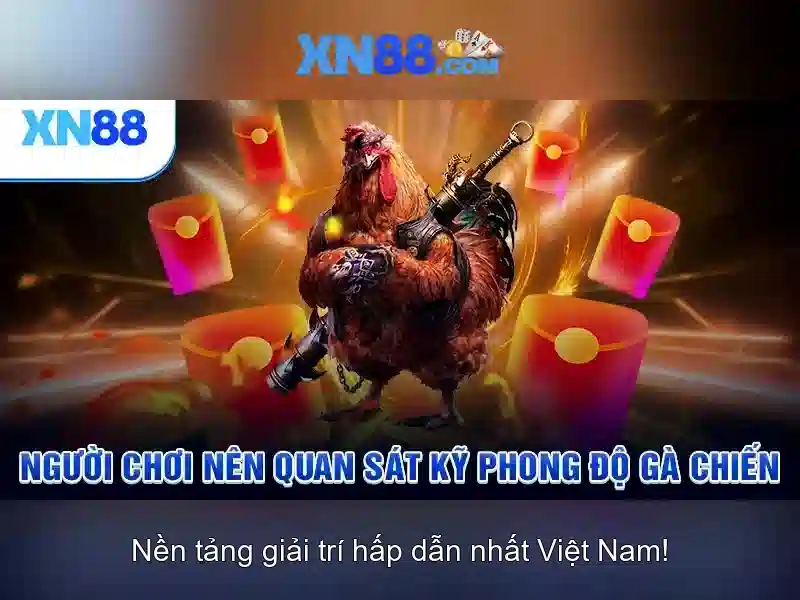 https://xn88.mex.com/images/text/xn88/xn88-text2603313247.webp