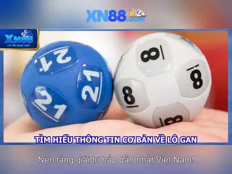 https://xn88.mex.com/images/text/xn88/xn88-text260331387.webp