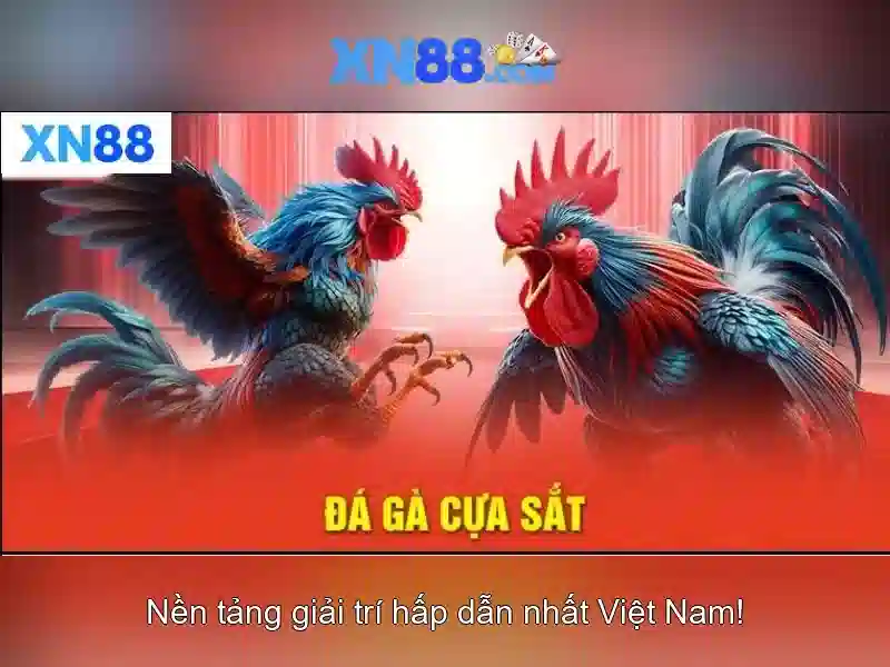 https://xn88.mex.com/images/text/xn88/xn88-text26033141.webp