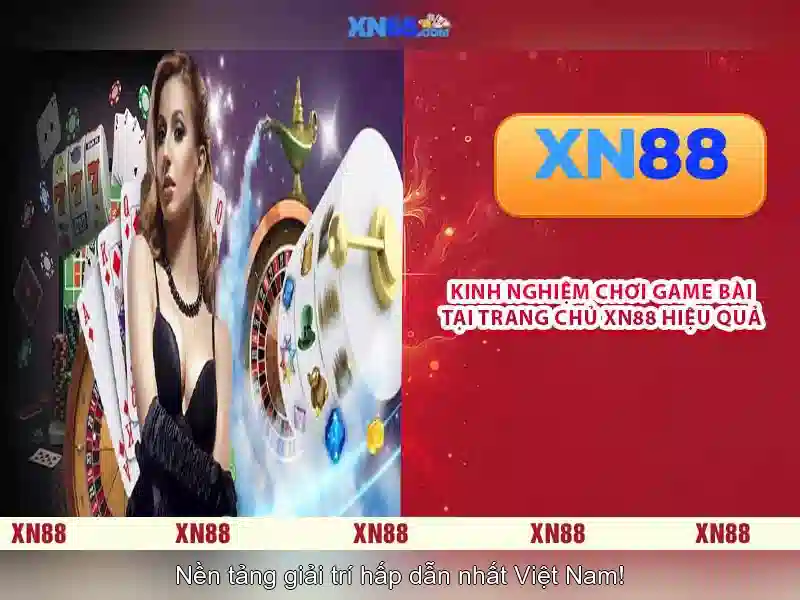https://xn88.mex.com/images/text/xn88/xn88-text260331421.webp