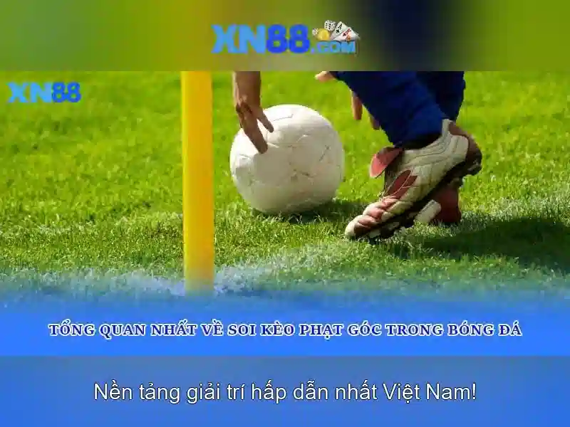 https://xn88.mex.com/images/text/xn88/xn88-text2603314232.webp