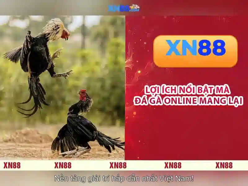 https://xn88.mex.com/images/text/xn88/xn88-text260331437.webp