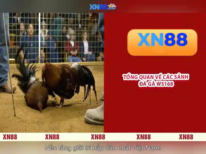 XN88 - Nền tảng giải trí trực tuyến an toàn và đáng tin cậy